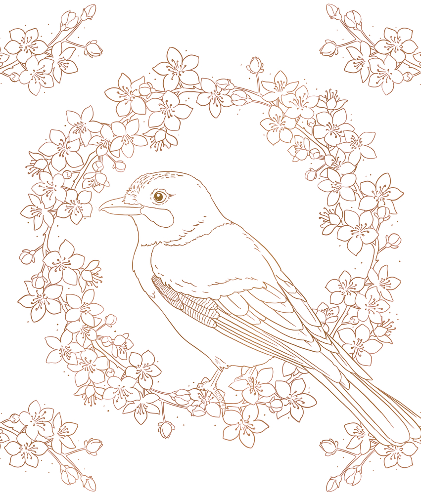 Linienzeichnung von einem Vogel auf einem Ast, umgeben von einem runden Rahmen aus blühenden Kirschblüten.