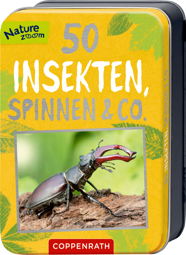 Gelbe Dose „50 Insekten, Spinnen & Co.“ mit Hirschkäfer-Foto auf der Vorderseite.