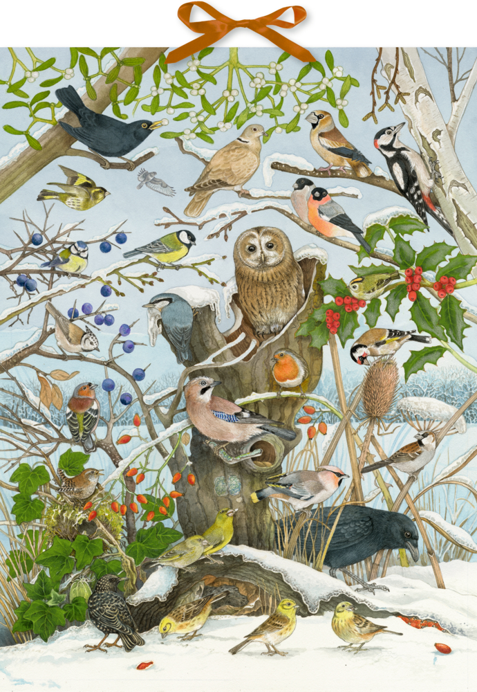 Vögel sitzen auf einem schneebedeckten Baum mit Beeren und Blättern; in ihrer Mitte befindet sich eine Eule.