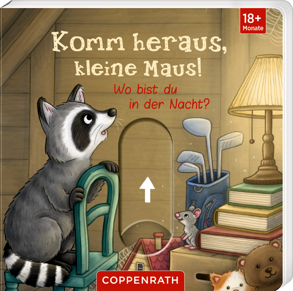 Braunes Buchcover mit Illustration eines Waschbären auf einem Stuhl neben einer Maus, Büchern, einer Lampe und Spielzeug in einem Dachbodenraum.
