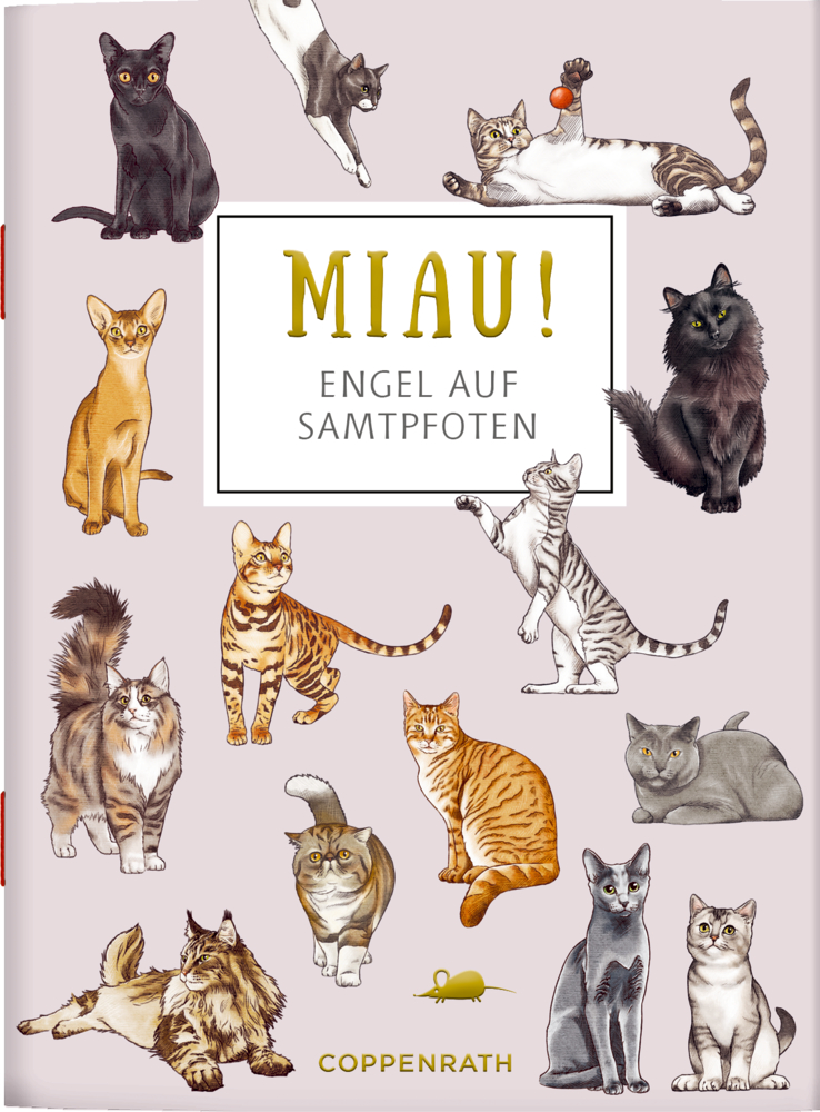 Illustration von Katzenrassen auf hellem Hintergrund.