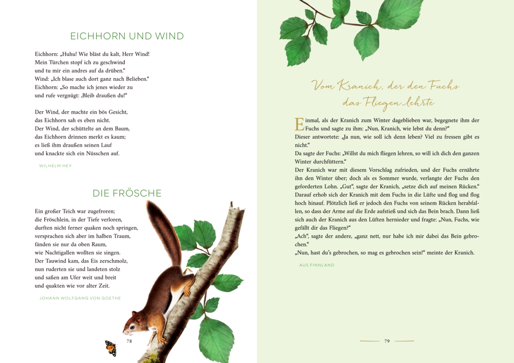 Illustration eines braunen Eichhörnchens auf einem Ast mit grünen Blättern und einem Schmetterling davor.