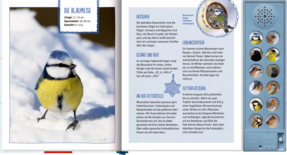 Darstellung verschiedener Verkaufsargumente wie Vogelstimmen, spannende Infos, Naturverbundenheit und praktische FÃ¼tterungstipps.
