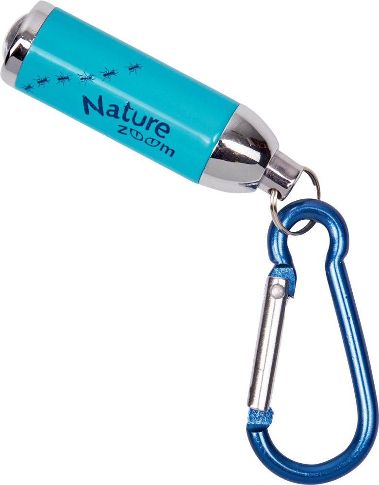 Blauer Taschenlampen-Schlüsselanhänger mit silbernem Ende und blauem Karabiner.