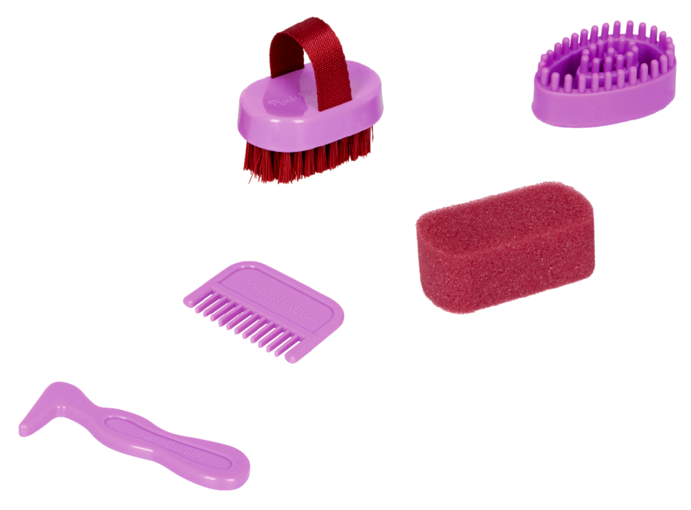 Fünf rosa und violette Pflegeutensilien – Bürsten, Kamm, Schwamm und Hufkratzer.
