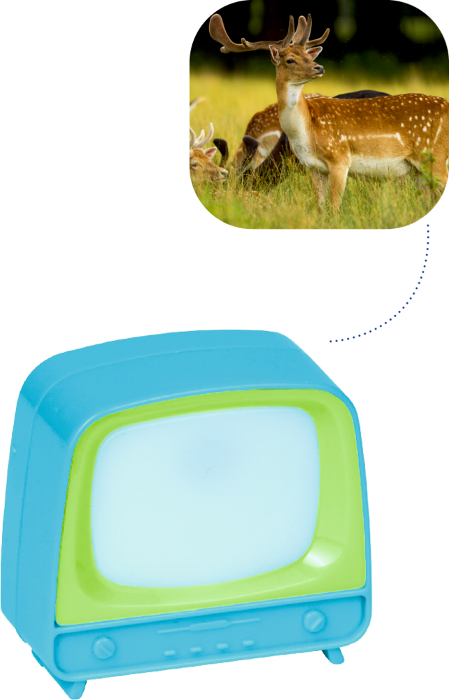 Blauer Spielzeugfernseher mit einer Sprechblase, die ein auf Gras stehendes Reh zeigt.
